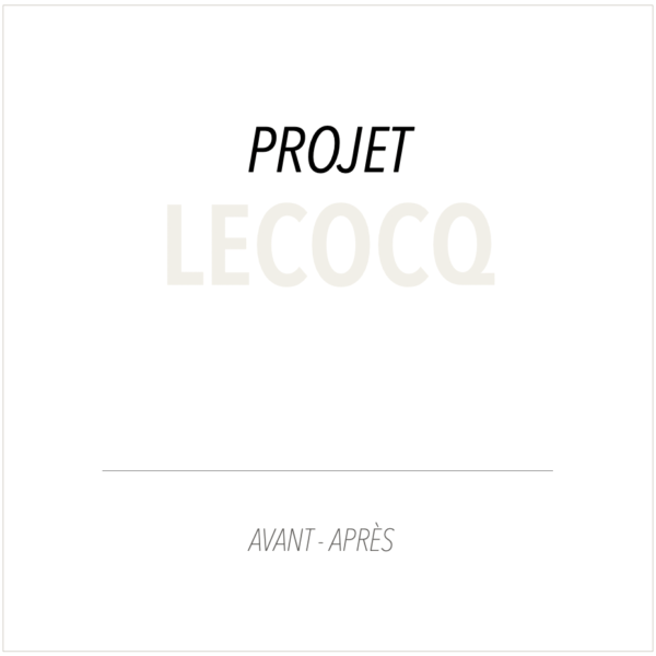 Projet Lecocq